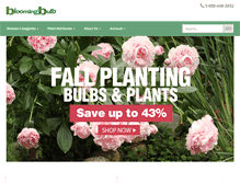 Tablet Screenshot of bloomingbulb.com